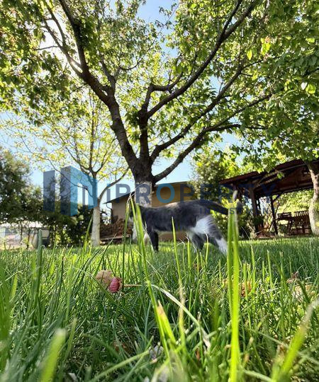 imagine-secundara-proprietate-201293