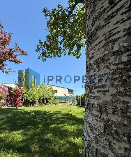 imagine-secundara-proprietate-201293