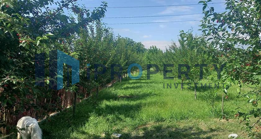 imagine-secundara-proprietate-210499