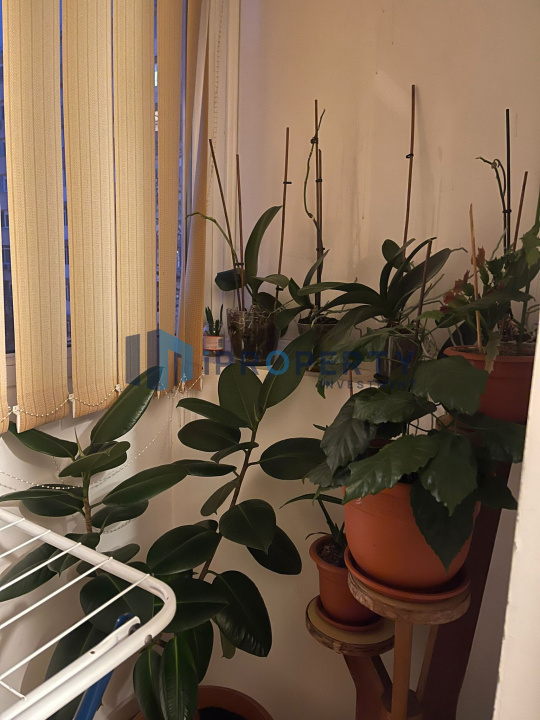 imagine-secundara-proprietate-232085