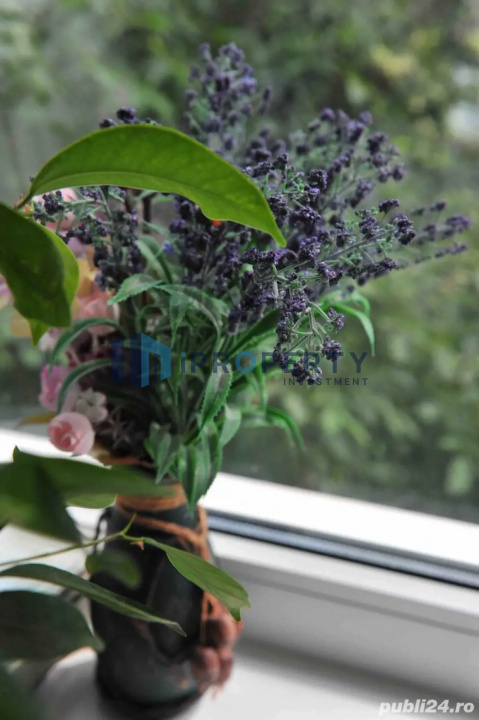 imagine-secundara-proprietate-234575