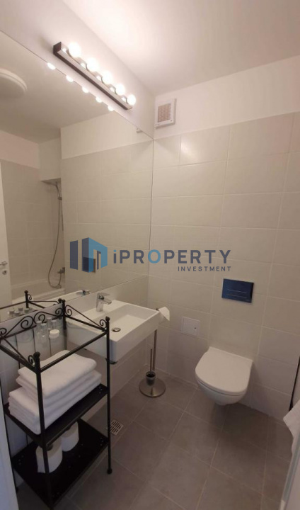 imagine-secundara-proprietate-239561