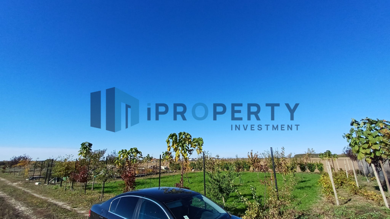 imagine-secundara-proprietate-240327