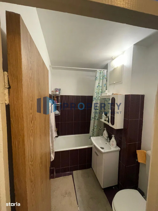 imagine-secundara-proprietate-241155