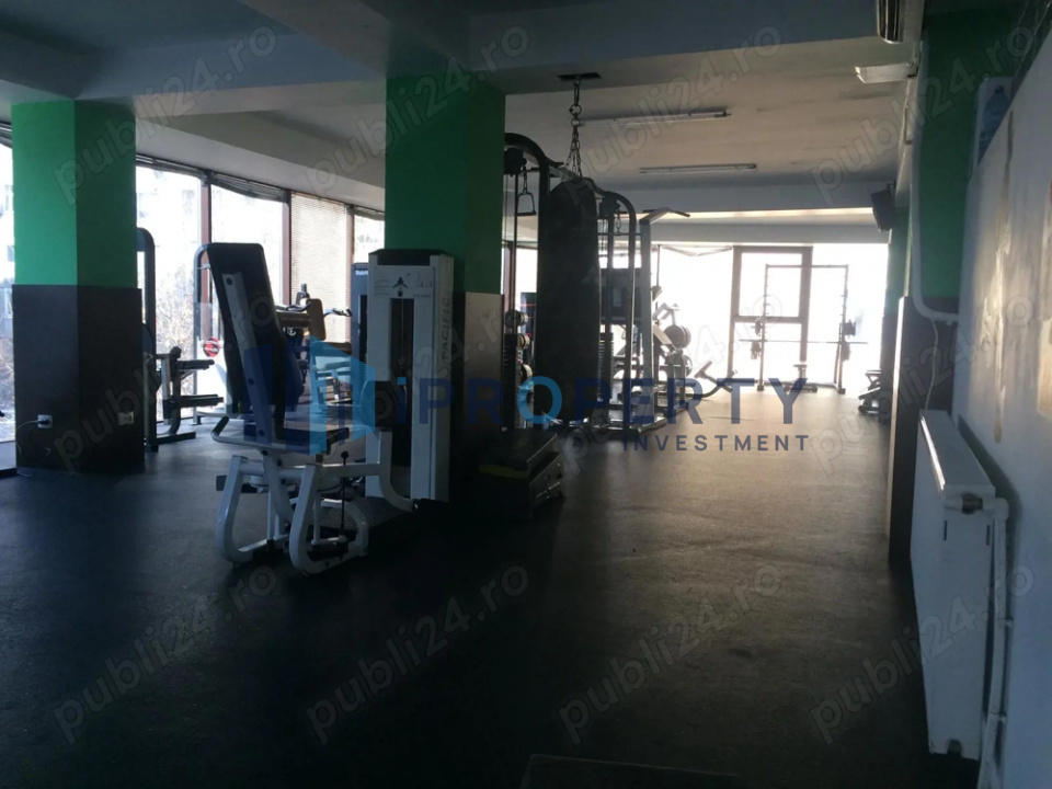 imagine-secundara-proprietate-241252