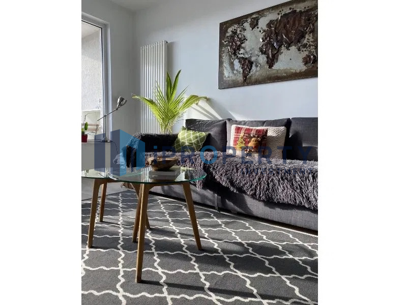 imagine-principala-proprietate-241593