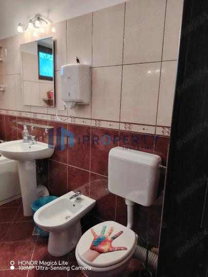 imagine-secundara-proprietate-241630