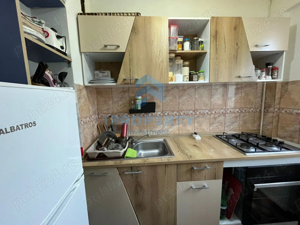 imagine-secundara-proprietate-242873