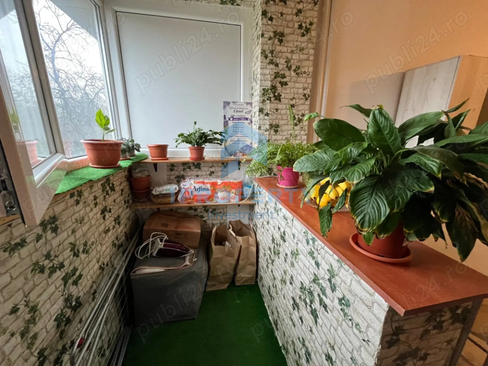 imagine-secundara-proprietate-242873