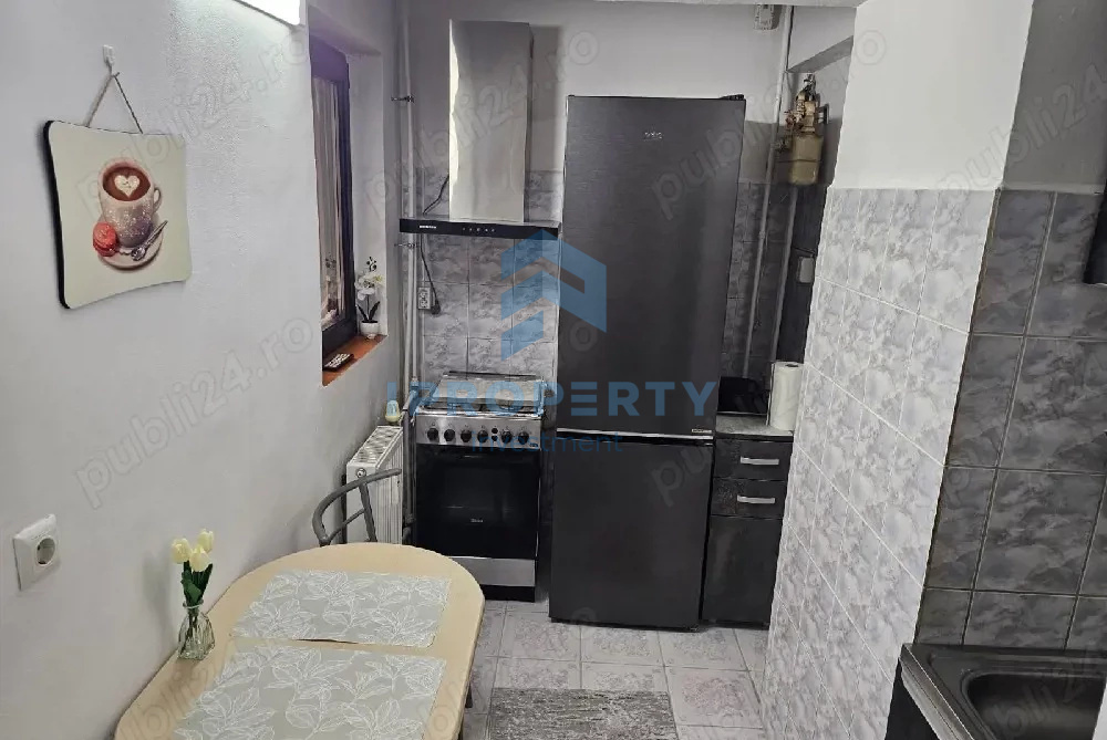 imagine-secundara-proprietate-243709