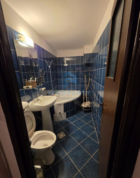 imagine-secundara-proprietate-243711