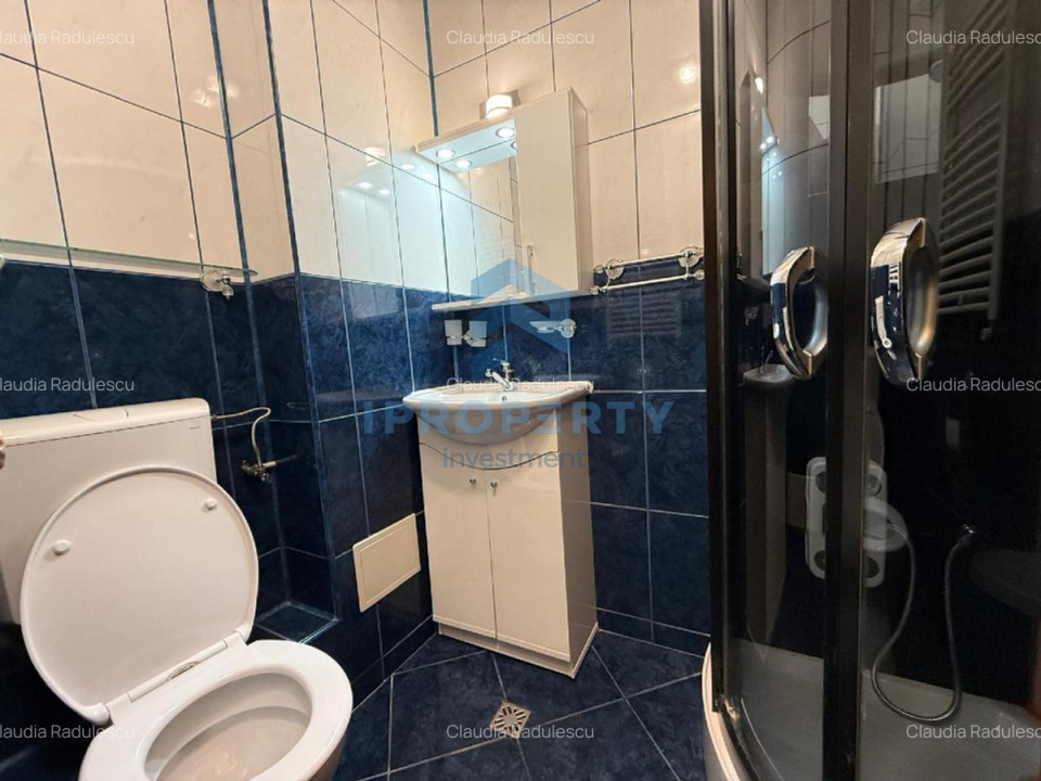 imagine-secundara-proprietate-244380