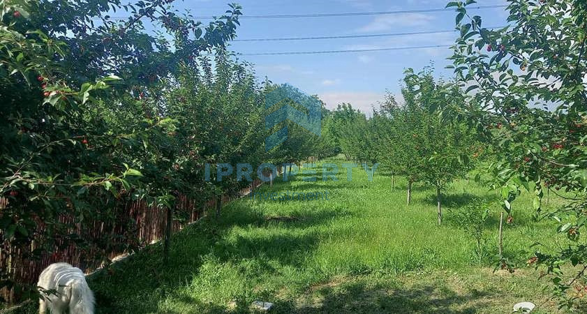 imagine-principala-proprietate-245126