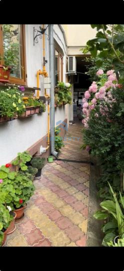 imagine-secundara-proprietate-245525