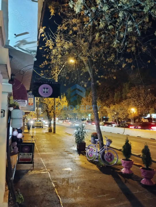 imagine-secundara-proprietate-245990