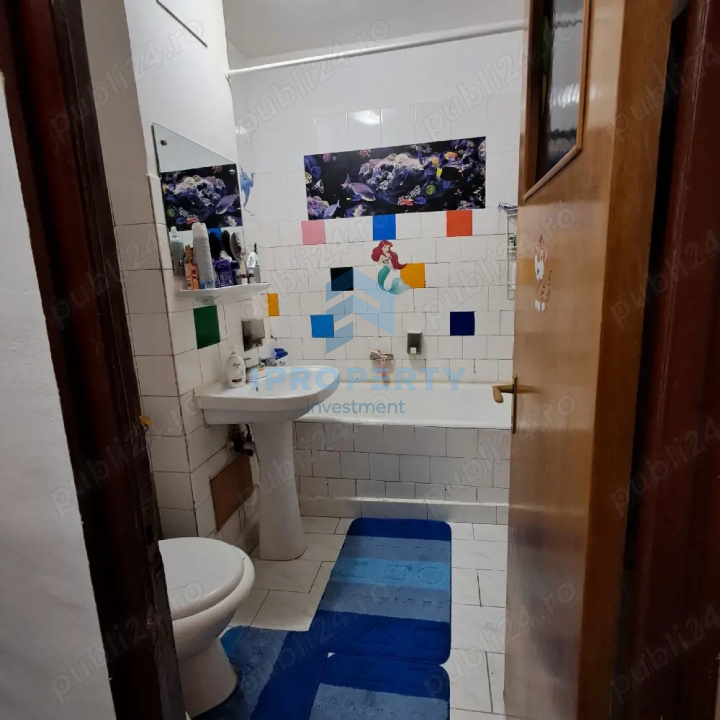 imagine-secundara-proprietate-246059