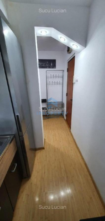 imagine-secundara-proprietate-246544