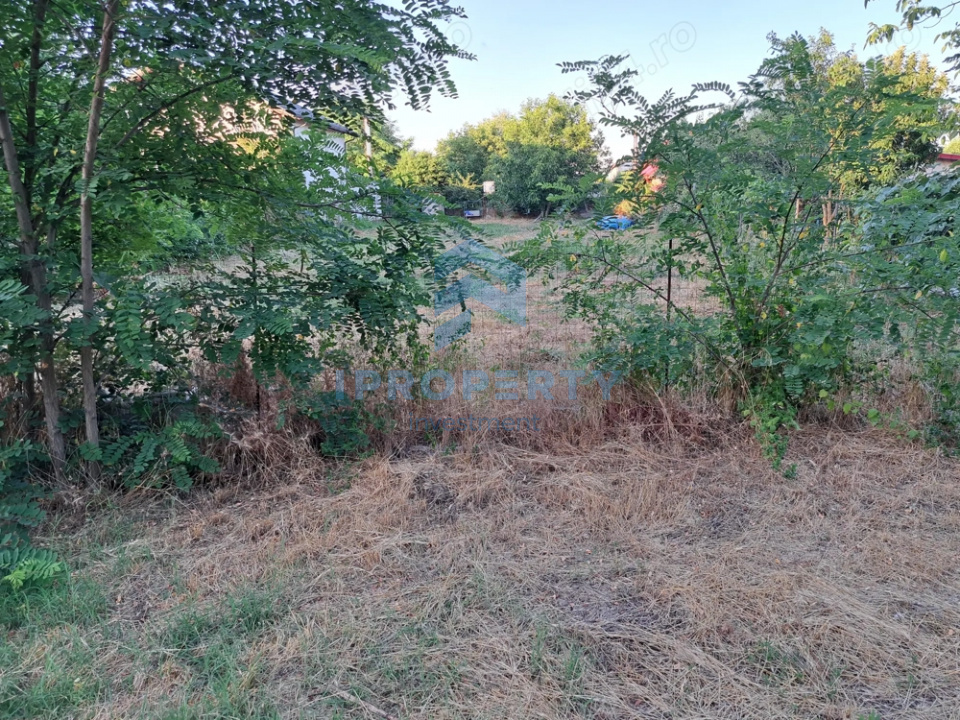 imagine-secundara-proprietate-246581