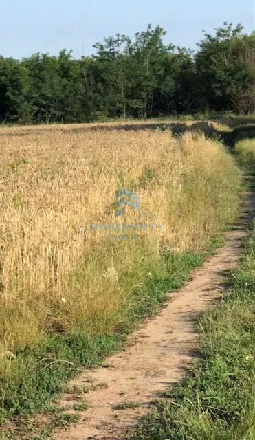 imagine-secundara-proprietate-246898