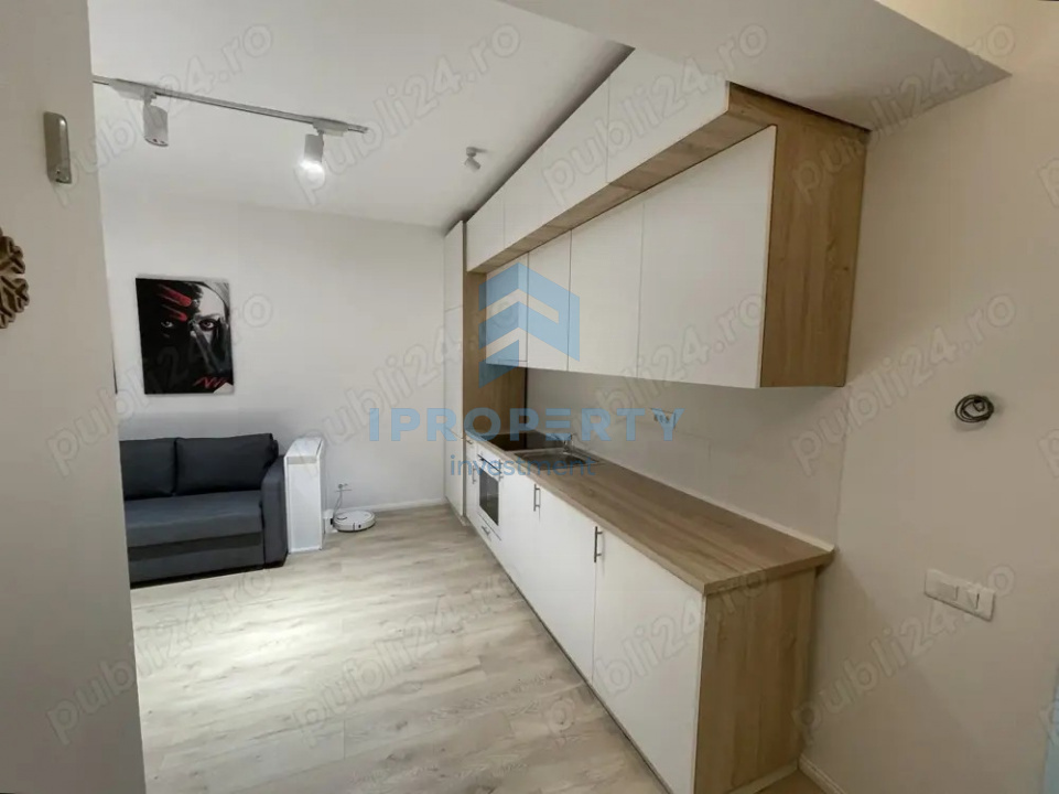 imagine-secundara-proprietate-246969