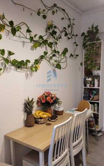 imagine-secundara-proprietate-248505