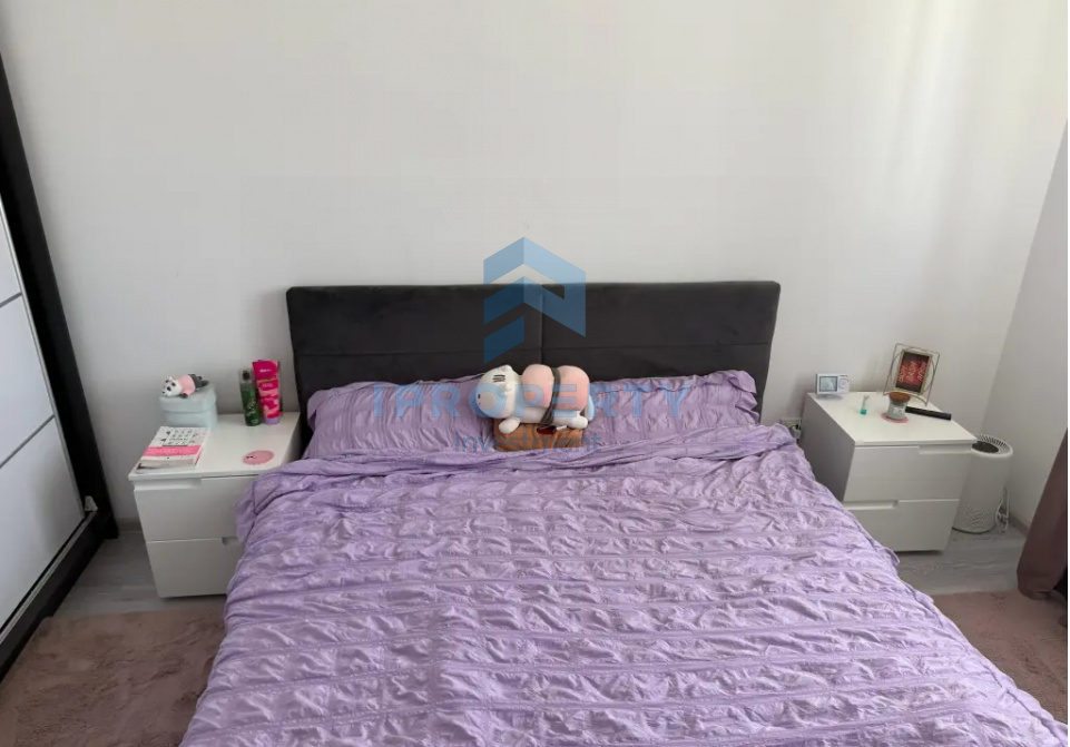 imagine-secundara-proprietate-249654