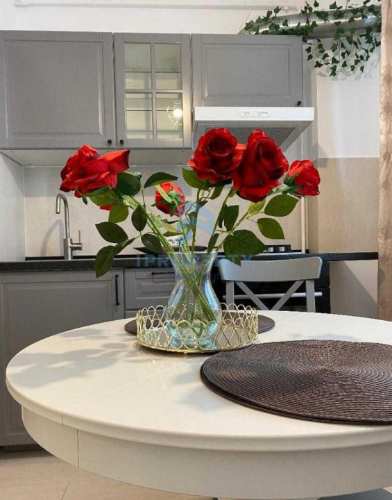 imagine-secundara-proprietate-250681