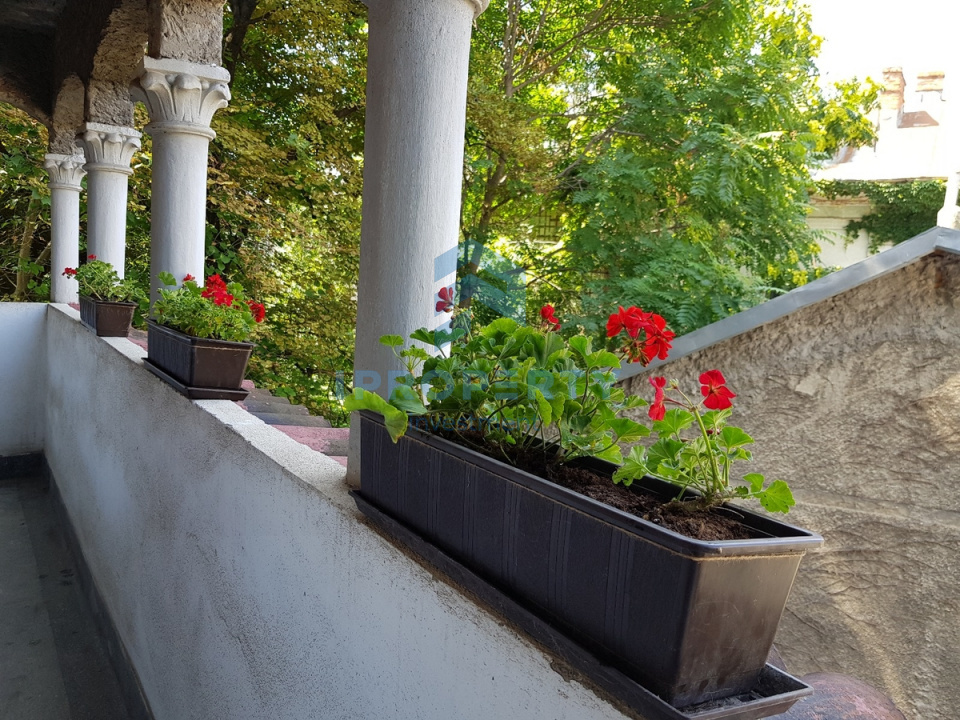 imagine-secundara-proprietate-251169