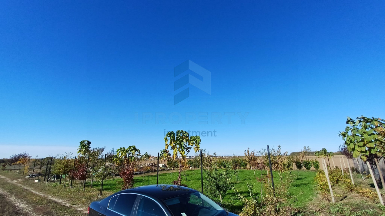 imagine-secundara-proprietate-251709