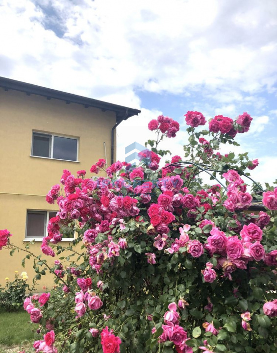 imagine-principala-proprietate-252473