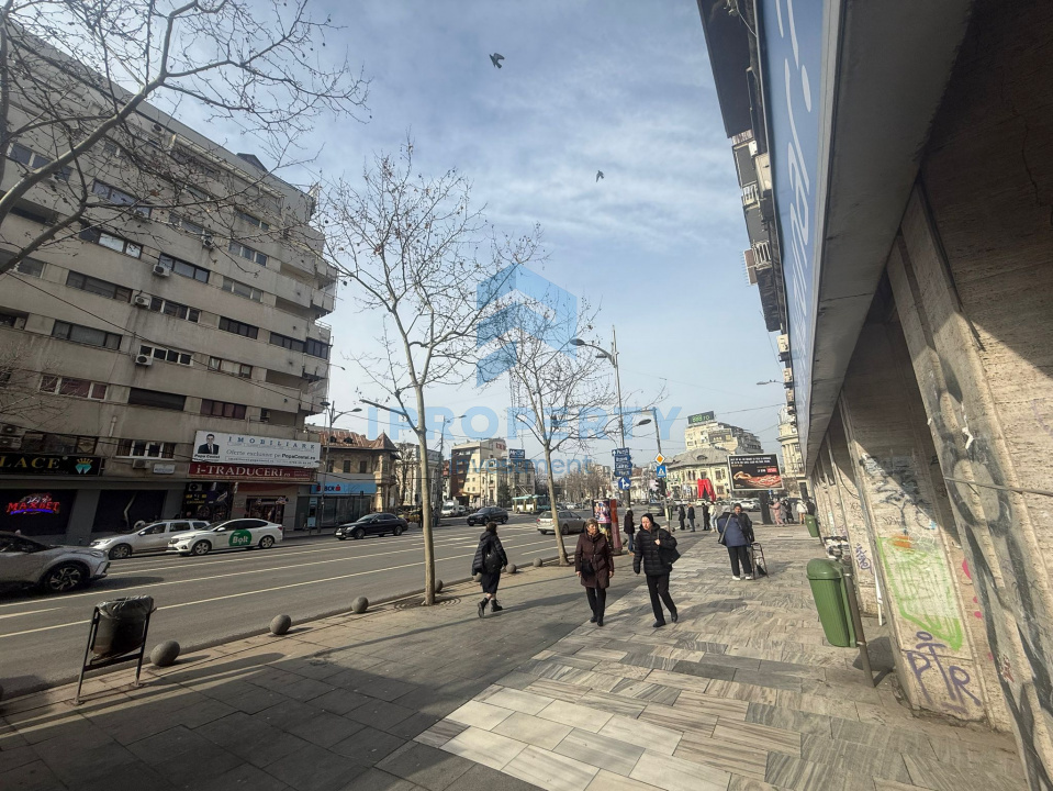 imagine-principala-proprietate-257522