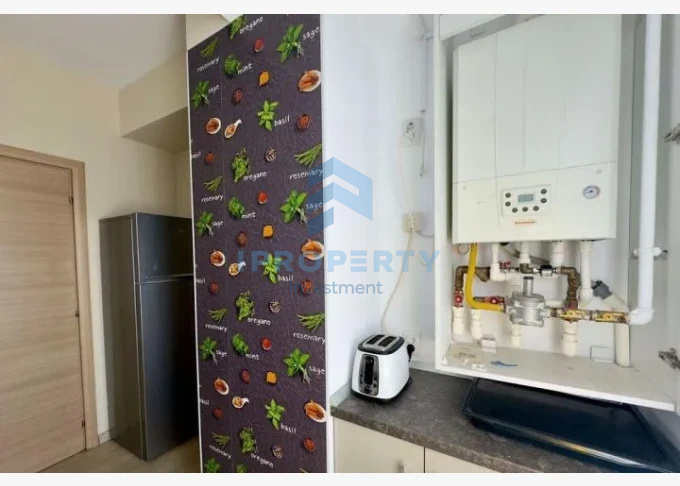 imagine-secundara-proprietate-258120