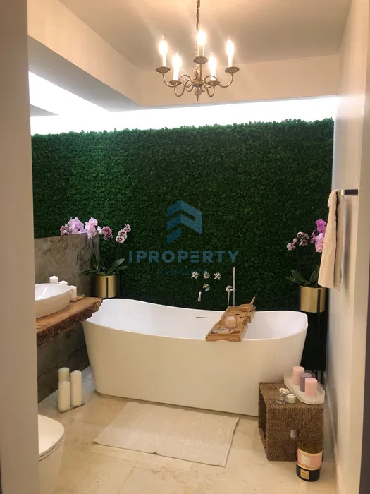 imagine-secundara-proprietate-262494